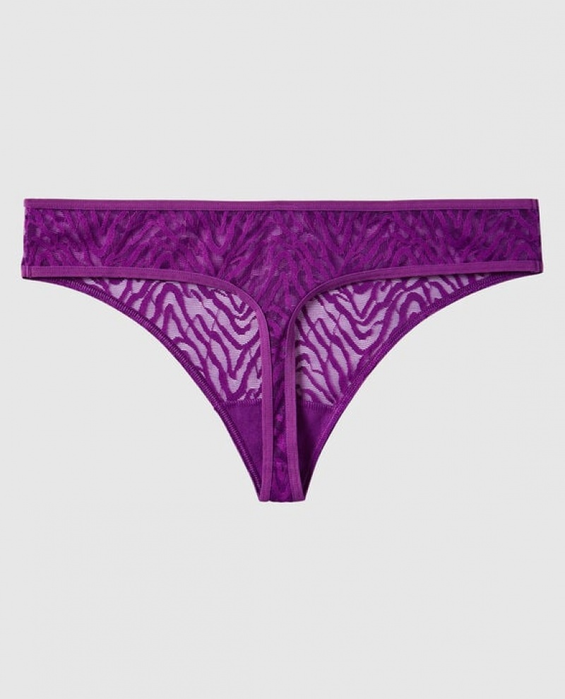 Women's La Senza Thong Panty Underwear Purple | pmplzFDt